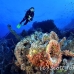 numidia_bro_b_h_0269_egy0631.jpg